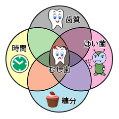 歯の原因について