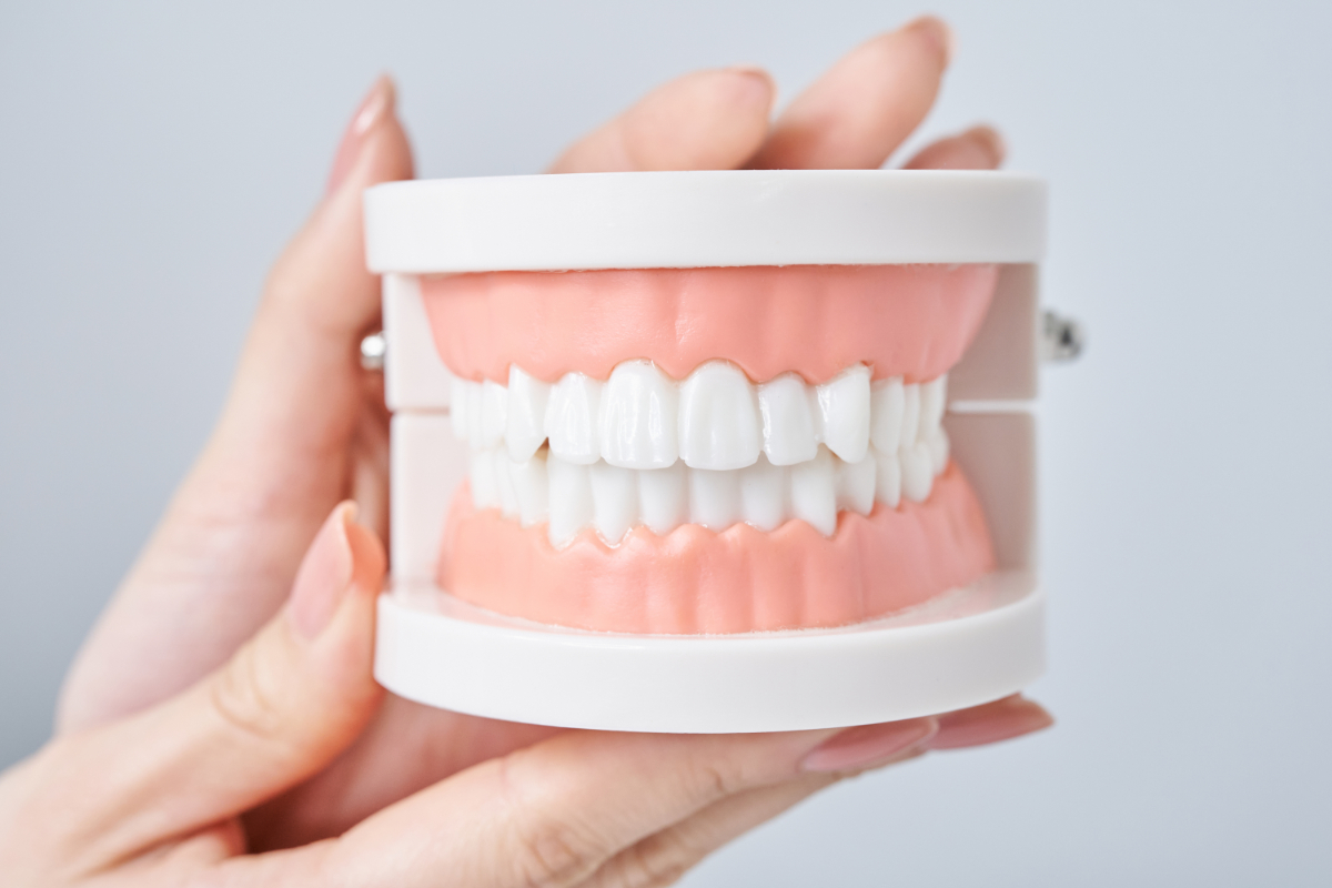 歯の噛み合わせを確認している