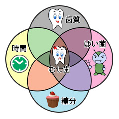 アース歯科クリニック　歯医者　板橋　虫歯の原因について